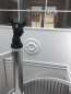 Preview: Decke  Wand Stuckrosette  online kaufen